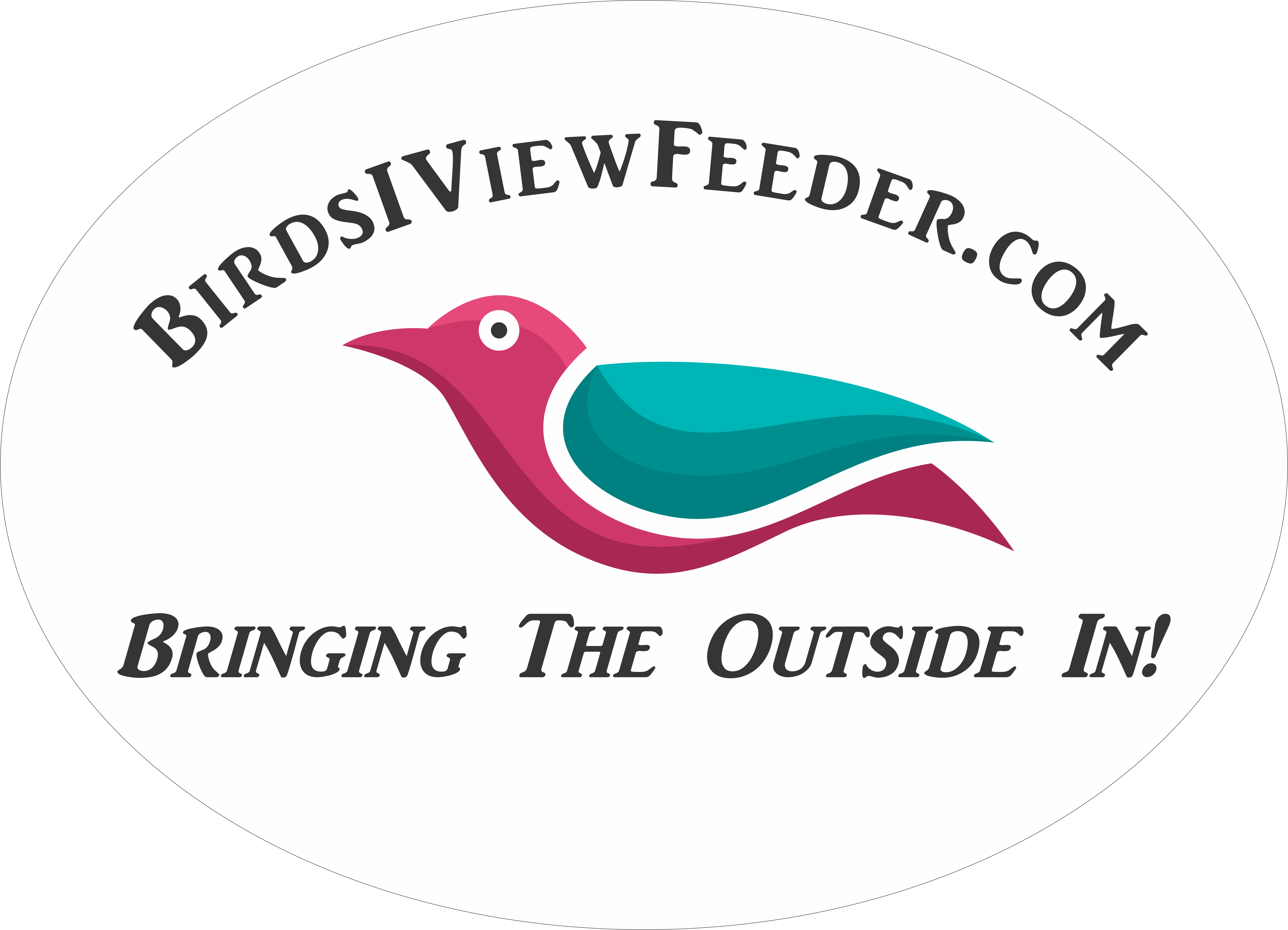BirdsIView Feeder